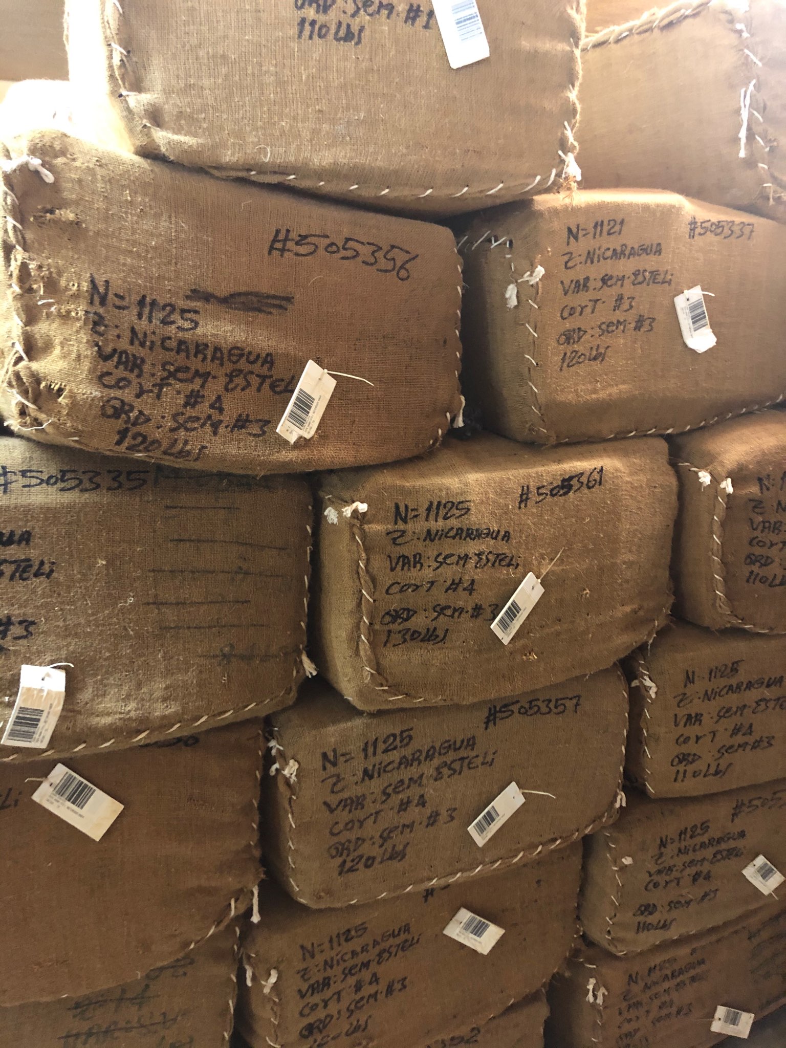 Georgina\'s trip to the Dominican Republic